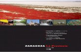 ZARAGOZA La Provincia - TURISMO DE LA DIPUTACIÓN DE ...zaragozaturismo.dpz.es/descargas/pdf/provinciazgz/zgz_enero08_part... · toda la población de grullas de Europa Occidental