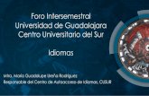 Foro Intersemestral Universidad de Guadalajara Centro ... · 100 120 2009-A 2009-B 2010-A ... RESULTADOS DE LA EVALUACION DE ESTUDIANTES DE ACUERDO AL MCRE 2014-B 2015-A 2015-B .