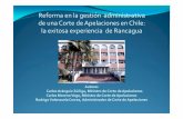 Reforma en la gestión administrativa de una Corte de ... · Rodrigo Valenzuela Correa, Administrador de Corte de Apelaciones. ... civiles). • Conciencia por parte del personal,