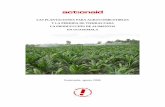 LAS PLANTACIONES PARA AGROCOMBUSTIBLES Y LA … · La producción de caña de azúcar, por su parte, tradicionalmente concentrada en la Costa Sur, también está observando una expansión