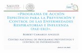 «Programa de Acción Específico para la Prevenci ón y Con ... · (pae-eri)». Rob ert Camargo Ang eles ... gastritis y duodenitis K25-K29 1,641,712 ... 6 Otitis media aguda H65.0-H65.1