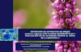 Obtención de extractos de brezo (Calluna vulgaris) con ...digital.csic.es/bitstream/10261/115346/3/Presentacion CIAL Forum... · introducciÓn ho o oh ho o oh acido oleanólico acido
