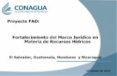 Proyecto FAO: Fortalecimiento del Marco Jurídico en ... · normativo y consultivo de la Federación, en materia de gestión integrada de los recursos hídricos, incluyendo la administración,