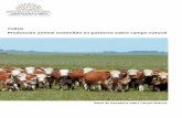 Producción animal sostenible en pastoreo sobre campo natural · Ing. Agr. Dr. Pablo Soca - FAGRO, INIA, EMBRAPA Brasil-Mejorando el campo natural: Ajuste de la oferta de forraje