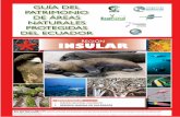 región INSULAR - 10 REASONS TO CHOSE THE CUYABENO … · presencia de este tipo de hábitat en la Isla Isabela (Gelin y Gravez 2002). Las especies que viven en las lagunas pueden