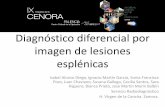 Diagnóstico diferencial por imagen de lesionesradiologiazamora.com/files/R-0039.pdff_.pdf · H. Virgen de la Concha. Zamora. Diagnóstico diferencial por imagen de lesiones esplénicas.