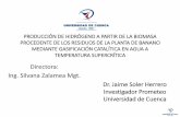 Directora: Ing. Silvana Zalamea Mgt.repositorio.educacionsuperior.gob.ec/bitstream/28000/4681/2/Anexo 2... · •Realidad del Ecuador en el sistema de Ciencia y Tecnología e Innovación.