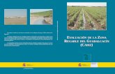 Evaluación de la Zona Regable del Guadalcacín (Cádiz) · EVALUACIÓN DE LA ZONA REGABLE DEL GUADALCACÍN (CÁDIZ) El presente estudio se encuentra enmarcado en los trabajos de
