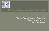 Blanca Rosa Moreno Cardenti Área de Patología FES-Cuautitlán · Normal Persistencia del Conducto Arterioso. Tronco pulmonar, permeabilidad de la sangre con O 2 Arteria Aorta (O