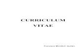 CURRICULUM VITAE - Universidad Veracruzana · Impartido por el Dr. Alain Touraine. Facultad Latinoamericana de Ciencias Sociales, Sede México y la Escuela de Altos Estudios en Ciencias