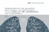 Indicadores de gestión del riesgo en pacientes con cáncer ... · Consenso basado en la evidencia: indicadores de gestión del riesgo en pacientes con cáncer de pulmón en Colombia