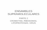 ENSAMBLES SUPRAMOLECULARESmedicinaunivalle14.weebly.com/.../ensables_supramoleculares_ii.pdf · caballo tienen ambos peso molecular de 64.500. Podría Ud. predecir si ellos también