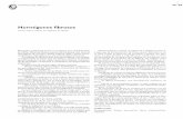 Hormigones fibrosos - Dadun: Página de iniciodadun.unav.edu/bitstream/10171/17438/1/RE_Vol 28_08.pdf · 2017-05-13 · a tracciones, las líneas de fuerza se curvan, ... Las fibras