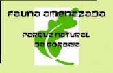 FAUNa amenAZada - Bizkaia 21 · Categoría reservada para aquellas especies, subespecies o poblaciones de fauna o flora cuya supervivencia es poco probable si los factores causales