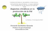 Chile Aspectos climáticos en la producción de la Vid · hidrico Aumento plagas Rendimiento ... La vid es una especie de extraordinaria plasticidad, por lo que la calidad del producto