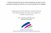 CUENTA DE ALTO COSTO Fondo Colombiano de Enfermedades de ... COLOMBIA... · •Sistema de Salud con ... Resolución 2565 de 2007 Enfermedad Renal Crónica. Cargue de ... MULTIPLE
