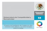 Proyecto de Facilitación del Tratado de LibreProyecto de ... de la... · Reconocimiento Mutuo (MRA) Algunos de los problemas en el comercio bilateral entre México y la Unión Europea