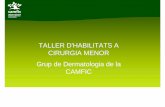 TALLER D'HABILITATS A CIRURGIA MENOR Grup de Dermatologia ...projectes.camfic.cat/CAMFiC/Seccions/EspaiResident/Docs/XV... · Localitzacióde la ferida Tipus de sutura cutània Tipus