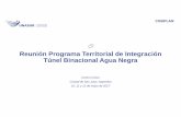 Reunión Programa Territorial de Integración Túnel Binacional … · 2017-05-19 · estudio de complementariedad econÓmica cbc potencialidades econÓmicas y de negocios del corredor