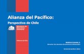 Alianza del Pacífico - CIEPLAN · colombia 2% méxico 3% perú 2% otros ... interes de chile en la alianza del pacifico 12 lograr economÍas de escala y desarrollar cadenas de suministro