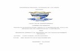 UNIVERSIDAD REGIONAL AUTÓNOMA DE LOS ANDES …dspace.uniandes.edu.ec/bitstream/123456789/6209/1/TURAB004-2017.pdf · CARRERA DE DERECHO ... designios; a mi familia por haber sido