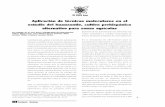 Aplicación de técnicas moleculares en el estudio del huauzontle, cultivo ...inin.gob.mx/publicaciones/documentospdf/55 Aplicacion de... · 2010-08-17 · para la humanidad, ...