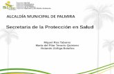 Secretaria de la Protección en Salud - cdim.esap.edu.cocdim.esap.edu.co/BancoMedios/Documentos PDF/palmira informe... · Solicitud por parte de Ministerio de Protección Social para