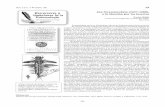 Jan Swammerdam (1637-1680), o la obsesión por los insectossea-entomologia.org/Publicaciones/PDF/BOLN44/596_BSEA44Precursores... · coleópteros, de insectos gallícolas, del cangrejo