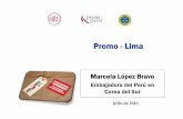 Promo - Lima - media.peru.infomedia.peru.info/PROMO/2010/AsiayOceania/Oportunidades comerciales... · entre calidades y hace referencia a la alpaca en sentido amplio. En puntos de