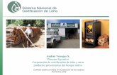 Presentación de PowerPoint - giz-cepal.cl · Frente a la dependencia de los factores climáticos ... •Temuco-Padre Las Casas (PDA) •Talca (en ... REGULACIÓN LEÑA Y EQUIPOS