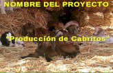 “Producción de Cabritos” - Portal OEIDRUS Nuevo León · la leche se vende a $2.00 el litro y si no se compra ... 60% de cuateo (60 cabra) abiendo buena pasta se dejan los cuates