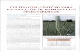 oa.upm.esoa.upm.es/32326/1/INVE_MEM_2014_177657.pdf · Las técnicas que se utiliza en el cultivo de centeno para la producción de biomasa son análogas a las del cultivo para la