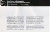 auditorio gota de plata - SRG - Morfología | FADU · El Auditorio Gota de Plata se presenta, en la categoría Obra Arquitectónica, al concurso "El color de la arquitectura en ...