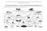 ECOSISTEMAS Y CICLOS BIOGEOQUIMICOS · ECOSISTEMAS Y CICLOS BIOGEOQUIMICOS 1. Analiza la siguiente red trófica y señala 5 cadenas con mínimo cuatro organismos y clasifica cada