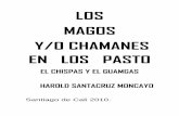 LOS MAGOS Y CHAMANES EN LOS PASTO - monografias.com · conocemos como chamanismo, sobre todo en América (Perú), después de quinientos años, no es el chamanismo auténtico, porque