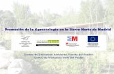 Presentación de PowerPoint - mapama.gob.es · en común de proyectos relacionados con la agricultura ecológica y el desarrollo rural. ión ología drid del n-Paular I ENCUENTRO