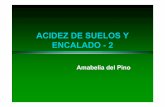 ACIDEZ DE SUELOS Y ENCALADO 2 - Facultad de Agronomíafertilidad/curso/docs/acidez_encalado2.pdf · ENCALADO DE SUELOS MATERIALES PARA EL ENCALADO DE SUELOS •Encalar significa neutralizar