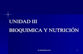 UNIDAD III BIOQUIMICA Y NUTRICIÓN · 2018-05-07 · •Glúcido ó Azucares: Este nombre proviene de que ... fórmula emperírica es (CH2O)n donde n ≥ 3. Se nombran ... y es el