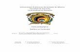 Universidad Autónoma del Estado de México Facultad de …derecho.uaemex.mx/U2018-B/Derecho/Plan 2015/L41827GP.pdf · Universidad Autónoma del Estado de México Facultad de Derecho
