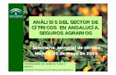 ANÁLISIS DEL SECTOR DE CÍTRICOS EN ANDALUCÍA. …aplicaciones.magrama.es/documentos_pwe/seminarios/pwp_citricos... · anÁlisis del sector de cÍtricos en andalucÍa. seguros agrarios