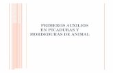 CLASE 3. Picaduras y Mordeduras - academico.upv.clacademico.upv.cl/doctos/ENFE-2097/{860F3DFC-803E-48B1-9D02... · Consideraciones Picadura de Insectos y arañas En Chile no hay insectos
