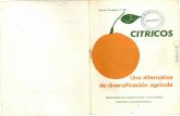  · En 1962 se construyó una pequeña planta de concen- ... tudios e investigaciones rnuy valiosas y se mantiene estrecha ... como limón ácido o naranja agria, ...
