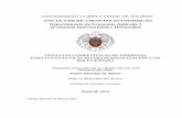 UNIVERSIDAD COMPLUTENSE DE MADRID - eprints.ucm.eseprints.ucm.es/20952/1/T34407.pdf · Modelo de la Ventaja Competitiva de Porter ... El Sector de Distribución de Base Alimentaria