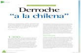 reportaje Derroche “a la chilena” - aan.siemens.com. Derroche a la... · Por ello hazlo con moderación. * No barras la calle usando la manguera a modo de escoba. ... * Prefiere