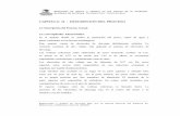 CAPITULO II : DESCRIPCION DEL PROCESO - Biblioteca …sisbib.unmsm.edu.pe/bibvirtualdata/tesis/ingenie/nonalaya_s_c/cap2.pdf · polvo en la placa de recolección del precipitador.