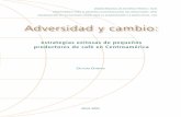 UNIDAD REGIONAL DE ASISTENCIA TÉCNICA - RUTA …unpan1.un.org/intradoc/groups/public/documents/icap/unpan027866.pdf · Adversidad y cambio: estrategias exitosas de pequeños productores