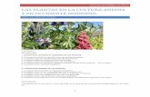 LAS PLANTAS EN LA CULTURA ANDINA Y EN OCCIDENTE …pratecnet.org/pdfs/Plantas-cultura-andina-y-moderna-jvr.pdf · ARTICULOS DE MIEMBROS DE PRATEC LAS PLANTAS EN LA CULTURA ANDINA