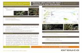 Presentación de PowerPoint - arauco.cl · Documentación asociada •Plan de Conservación Arauco Partes interesadas destacadas •SEREMI de Medio Ambiente •CONAF ... ambiental