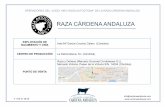 RAZA CÁRDENA ANDALUZA - Asociación Española de la ...cardenaandaluza.com/wp-content/uploads/2017/11/09ACA_021... · OPERADORES DEL “LOGO 100% RAZA AUTÓCTONA” DE LA RAZA CÁRDENA