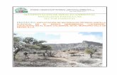 Cambio de uso de suelo de terreno forestal para la ...sinat.semarnat.gob.mx/dgiraDocs/documentos/slp/estudios/2008/24SL... · III.1 Análisis de los instrumentos de planeación y